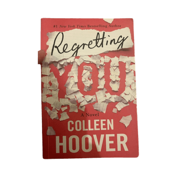 Regretting You paperback novel