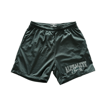 Alphalete shorts