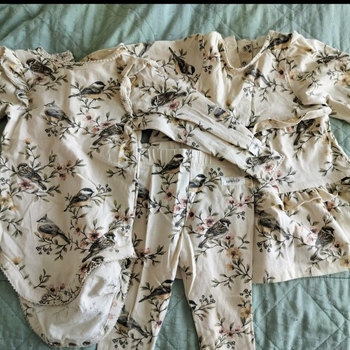 Newbie-setti