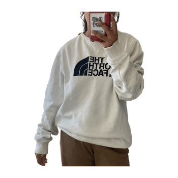 The north face sweatshirt