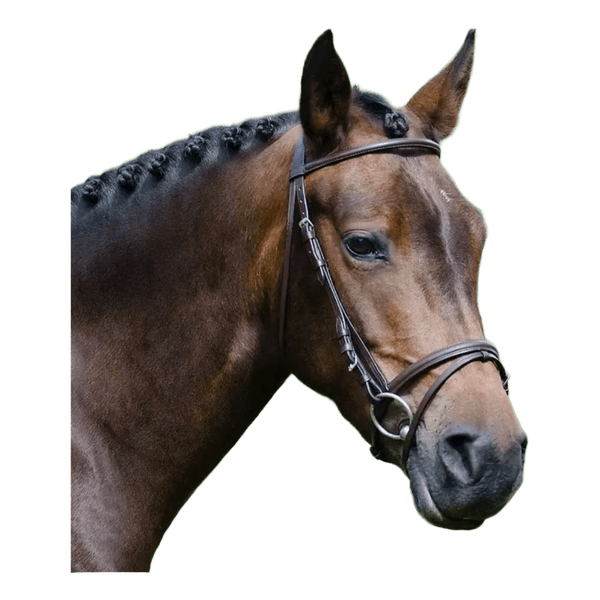 Brown leather horse bridle