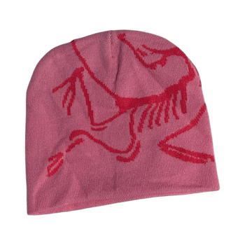 Arcteryx beanie