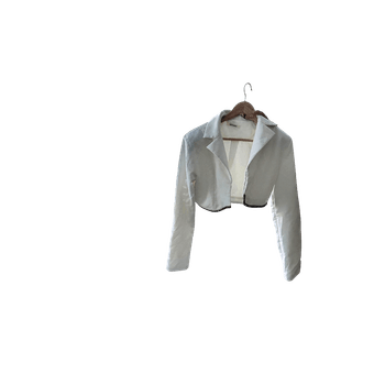 Maniere de voir bleiseri