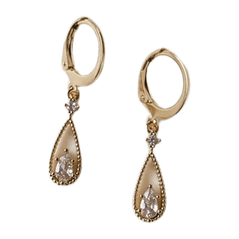 Earring jewelry