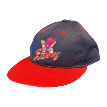 Barney 's originals headwear