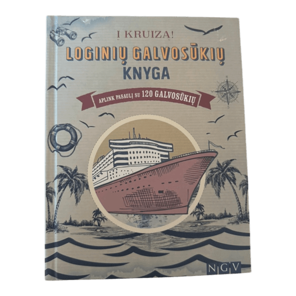 Logic puzzle book