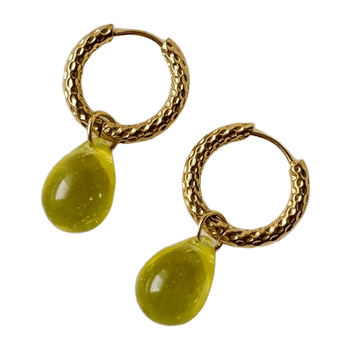 Earring jewelry