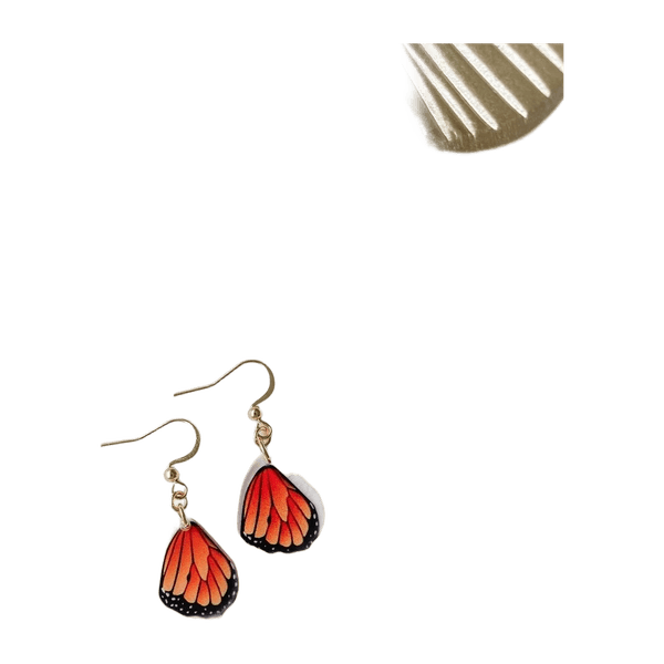Earring jewelry