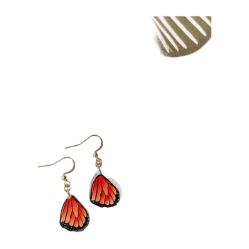 Earring jewelry