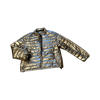 Hopeinen Trendyn kevyttoppatakki