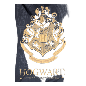 Hogwarts school banner
