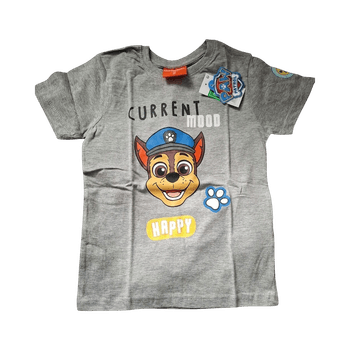 Grey Paw Patrol t-shirt