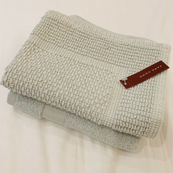 Zara accessory