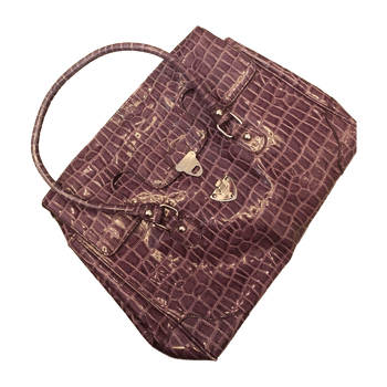 Baldinini bag