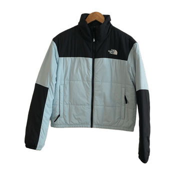 The north face coat
