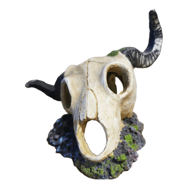Skull aquarium decoration