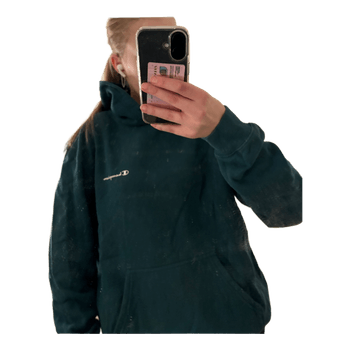 Vihreä Champion huppari