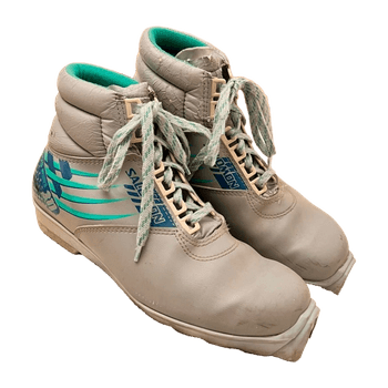 Salomon shoes