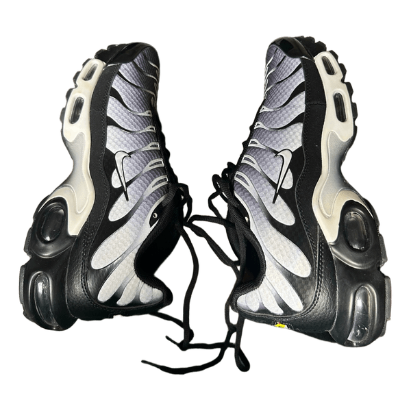 Nike Air Max sneakers