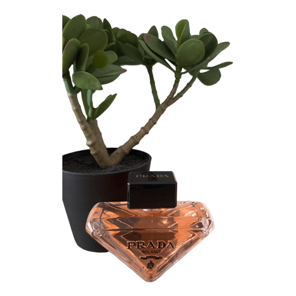 Prada Paradoxe eau de parfum