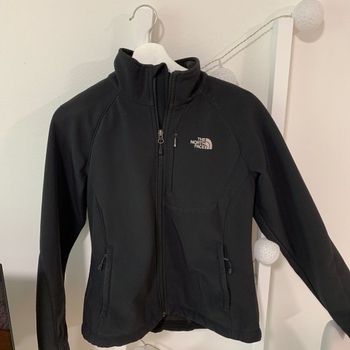 The north face coat