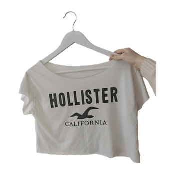Hollister top