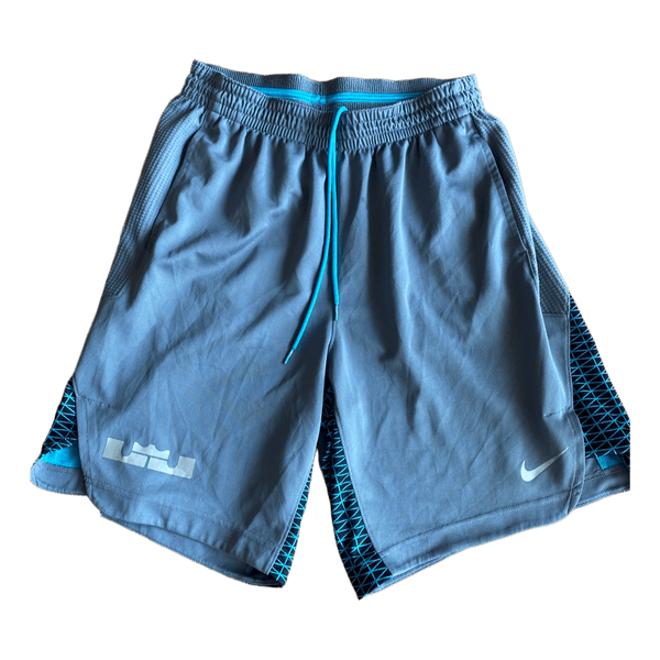 Nike LeBron grey shorts