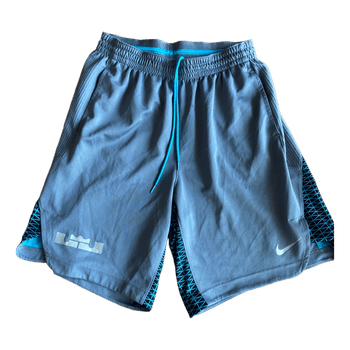 Nike LeBron grey shorts