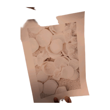 Desenio accessory
