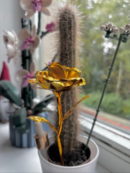 Gold rose flower