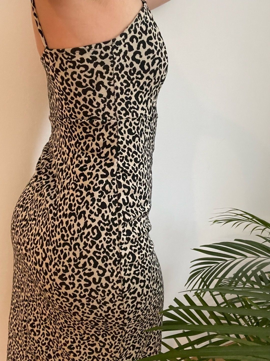 Zara dress