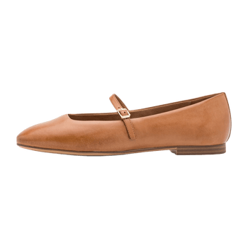 Brown ballerina shoes