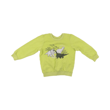 Lupilu Pullover 110 cm
