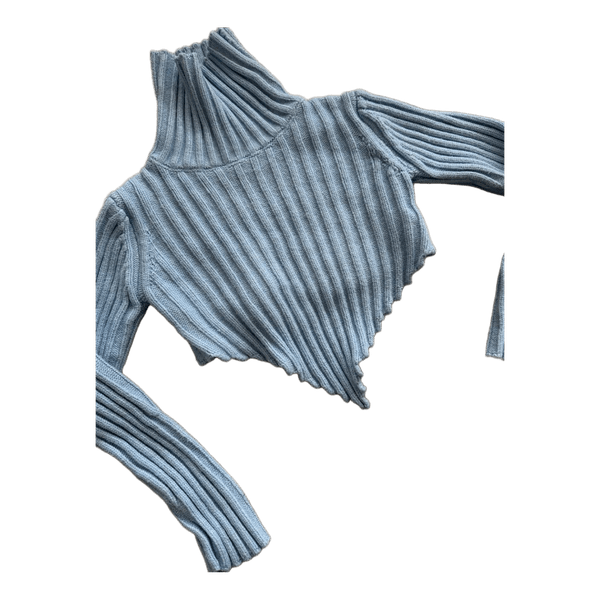 Blue ribbed turtleneck top