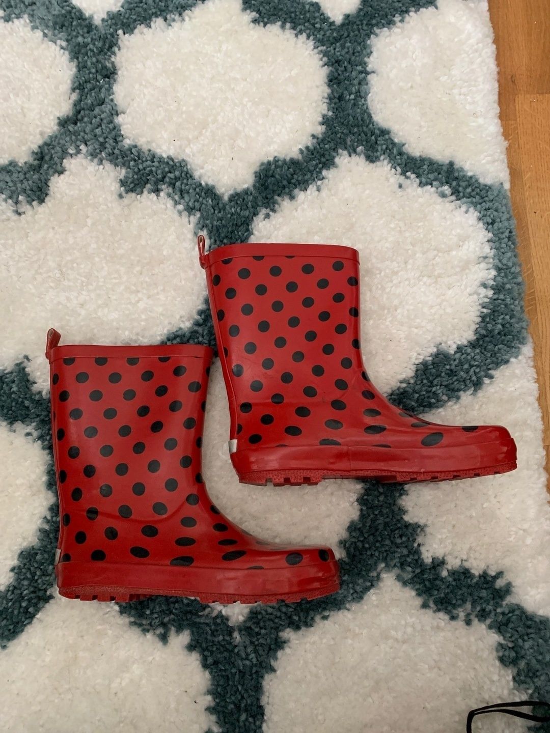 Ladybug rain boots