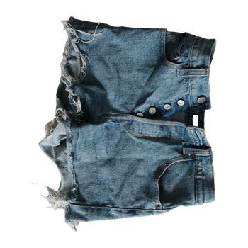 Levi’s shorts