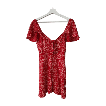 Zara dress