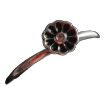 Žiedas NNH