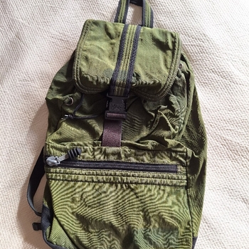 Hedgren backpack