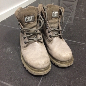 Caterpillar shoes
