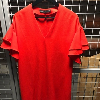 Zara dress