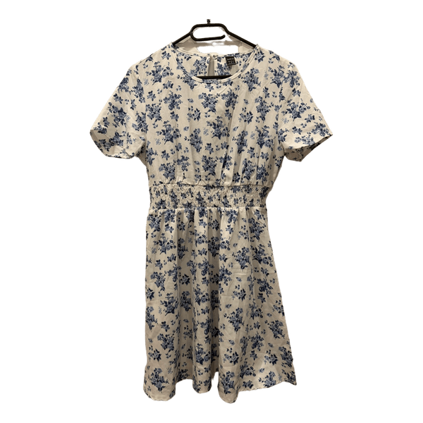 Blue and white floral dress