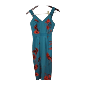 Ted baker dress