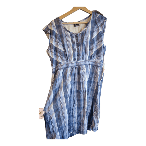 Blue plaid dress