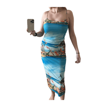 Zara dress