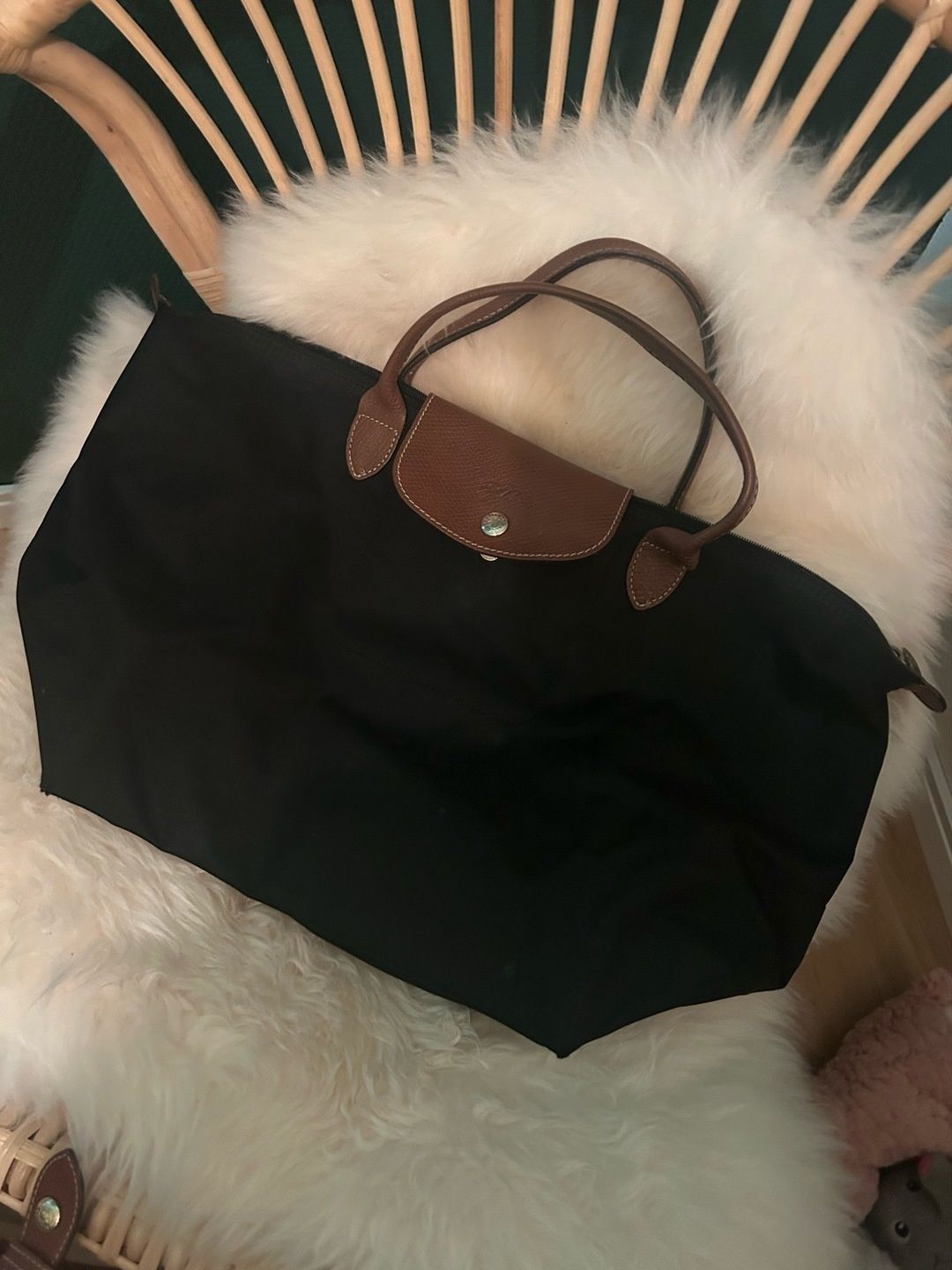 Longchamp bag
