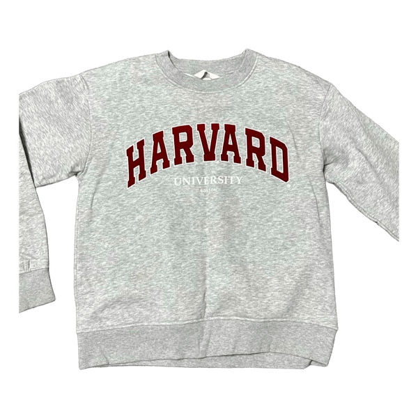 Grey Harvard University sweatshirt
