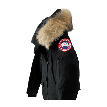Canada goose montebello