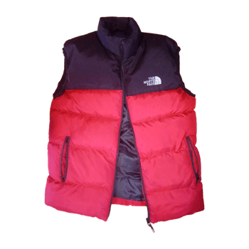The north face coat