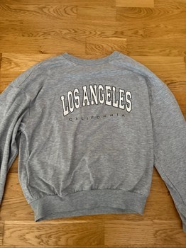 Grey Los Angeles sweatshirt
